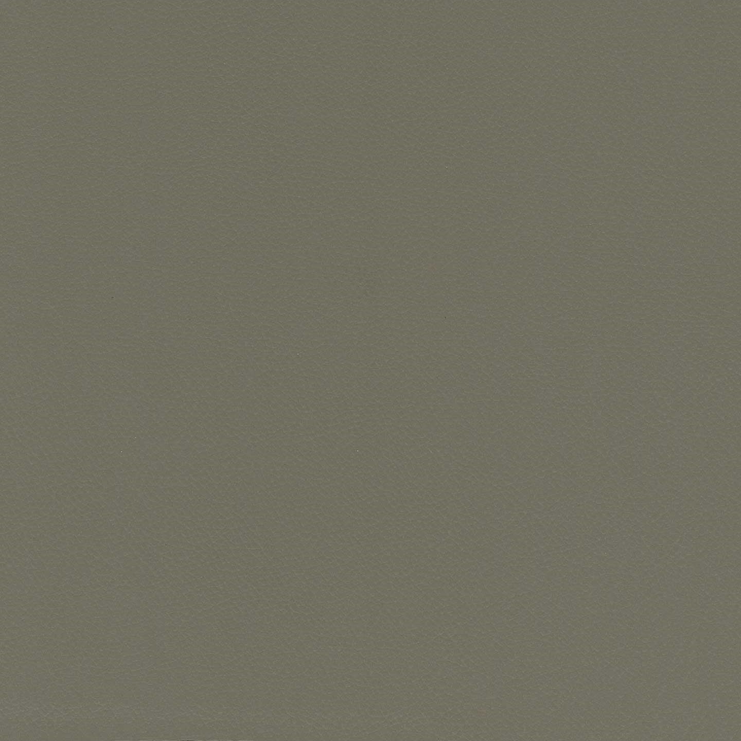Clizia Lit de design avec coffre de rangement en simili-cuir imperméable T04 taupe - Image 8