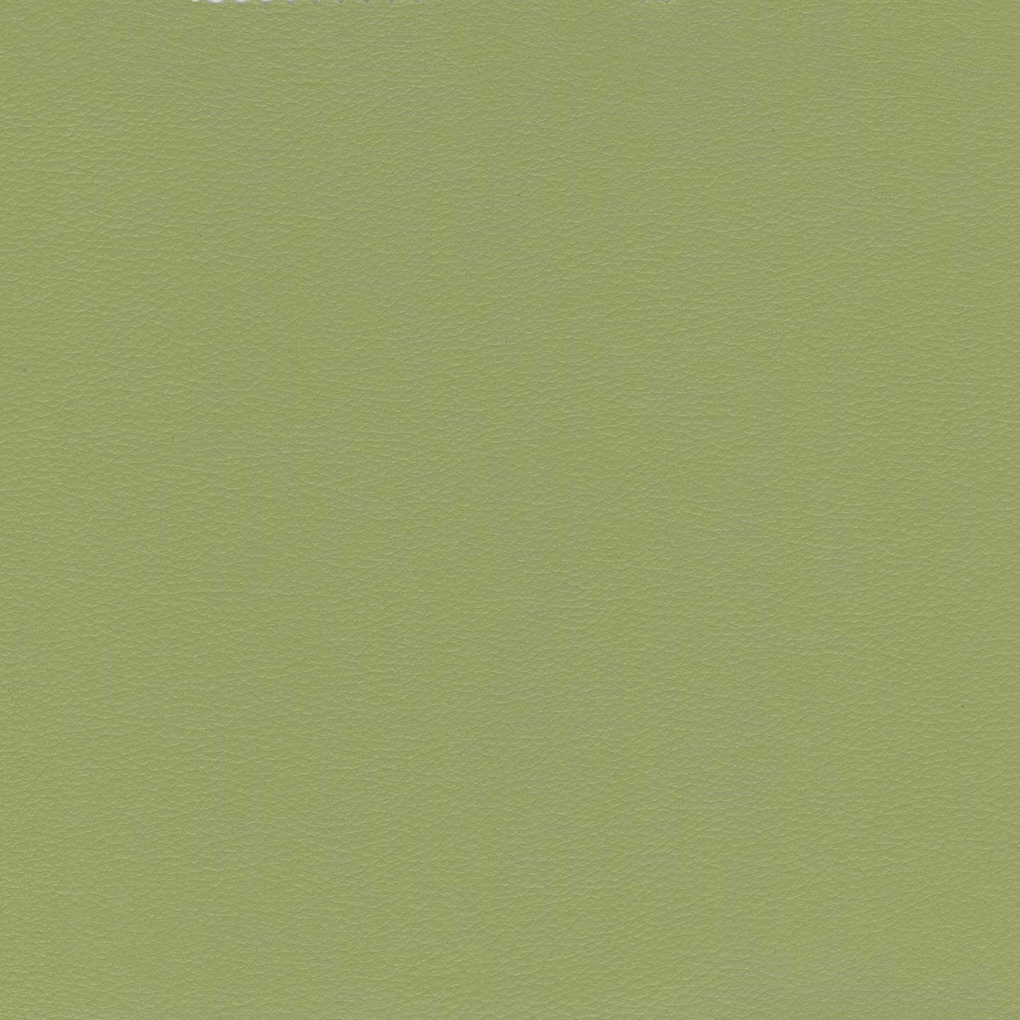 Greta lit coffre aux dimensions SLIM avec tĂȘte de lit matelassĂ©e en similicuir impermĂ©able T04 vert - Image 8