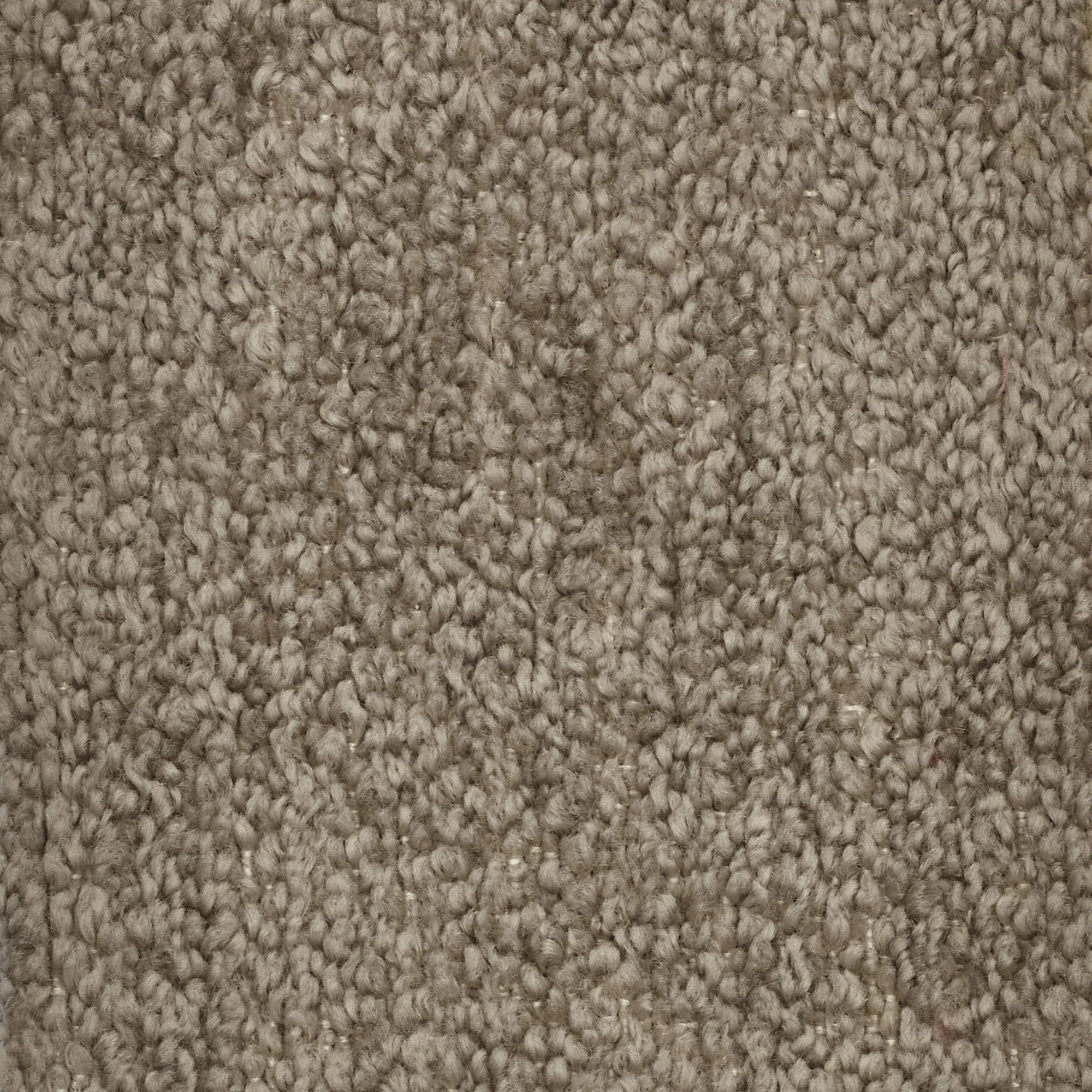 Personalizzazione in T21 - Image 4