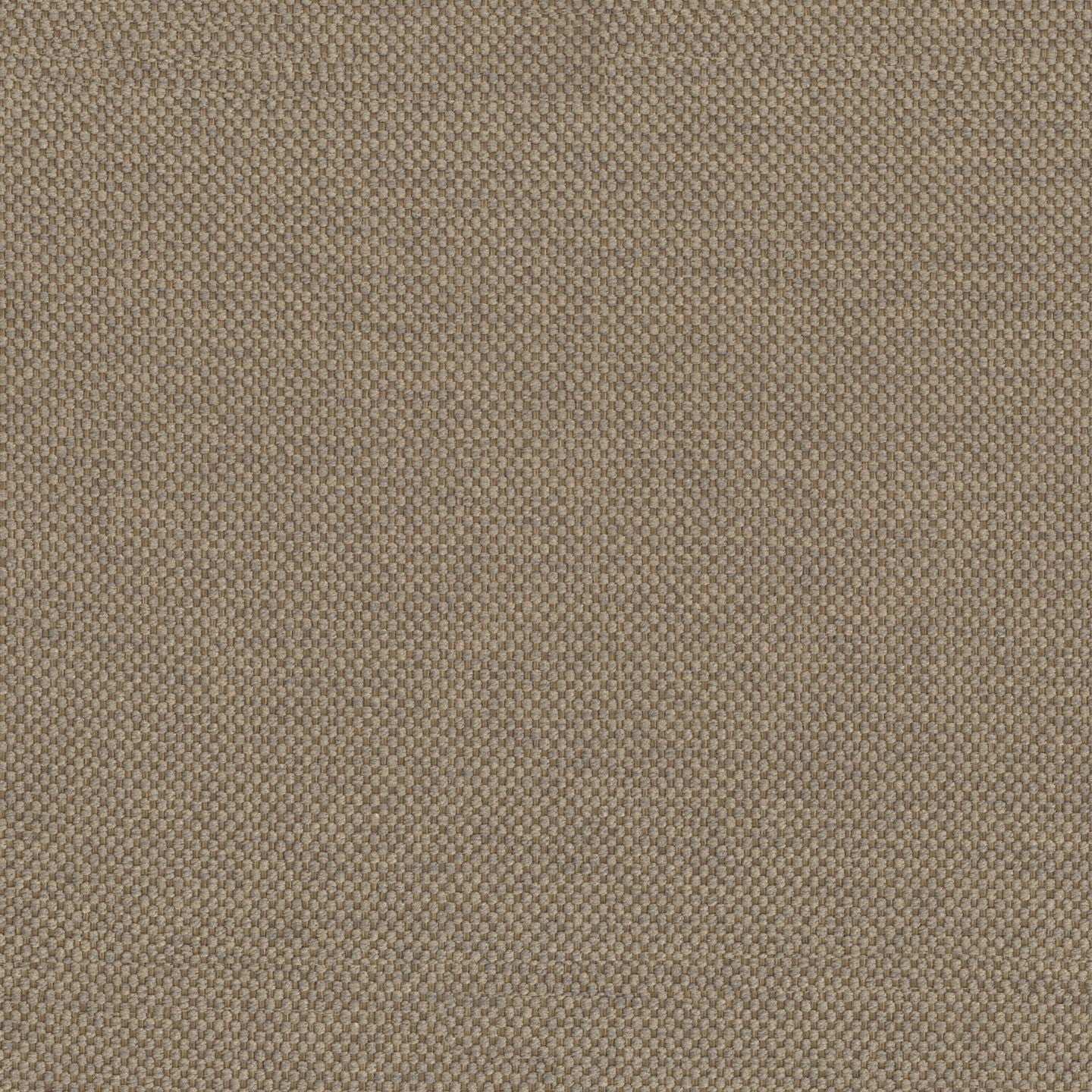 Coussin Tauro disponible en plusieurs couleurs, en tissu mélangé coton détachable T18 beige - Image 2
